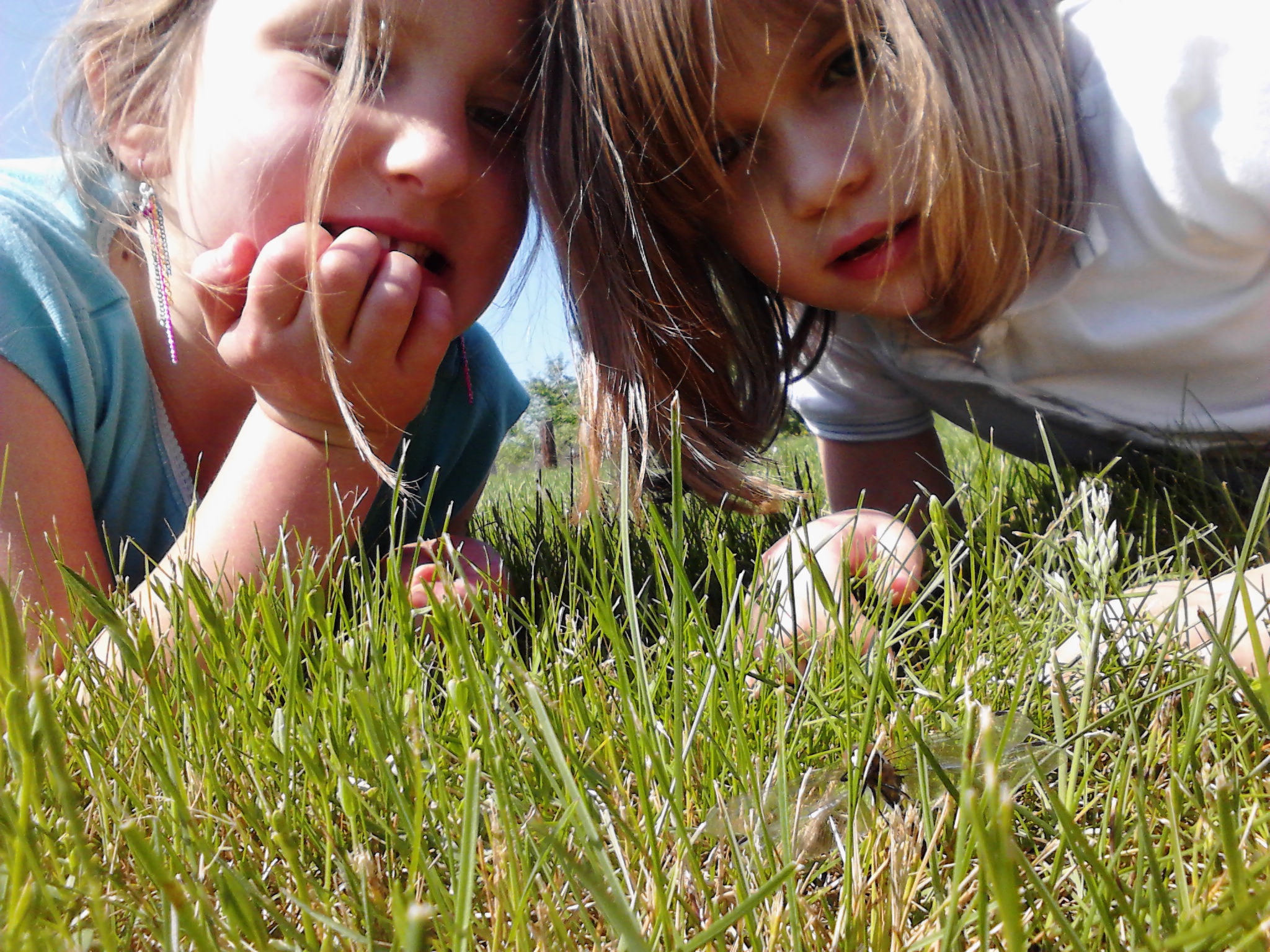 Paige, Ariel and a Dragonfly